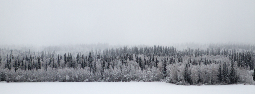 Photo of trees outside of the Butrovich building.